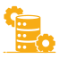 Info Database Services